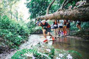 BIB: 
                            <button type="button" onclick="openModal(25464877)" class="btn btn-primary btn-sm float-right btn-popup" data-toggle="modal" data-target=".modal-high-quality">
                        <i class="fas fa-shopping-cart"></i> Add to Cart
                    </button>
                                            <button type="button" onclick="isThisMe(25464877, true)" class="btn btn-success btn-sm float-right btn-popup btn-isme hidden" data-toggle="tooltip" data-placement="bottom" title="นี่คือรูปของคุณใช่ไหม คลิกที่นี่เพื่อเอาเข้าอัลบั้ม">
                        <i class="fas fa-plus"></i> Add to album
                    </button>
                    <button type="button" onclick="isThisMe(25464877, false)" class="btn btn-warning btn-sm float-right btn-popup btn-isnotme hidden">
                        <i class="fas fa-ban"></i> Remove from album
                    </button>